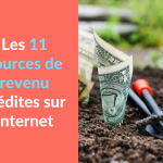 Miniature - Les 11 sources de revenu inedites sur Internet